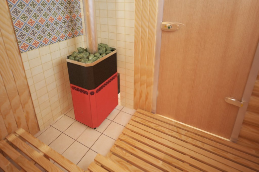 Печь банная Теплодар Русь-12 Л