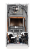 Газовый котел Haier URBAN 2.24 TM